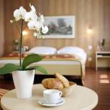 Фотография гостиницы Hotel De la Paix