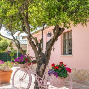 Фотографии гостевого дома 
            Quinta Aida Cottages and B&B Suites