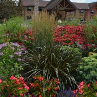 Фотография гостиницы I M Hotel by Timberlake