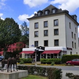 Фотография гостиницы Hotel du Parc