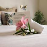 Фотография гостиницы Hotel Celta