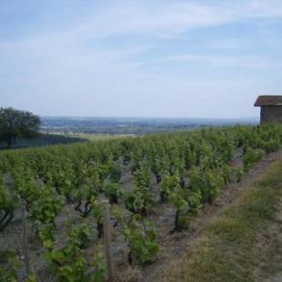Фотографии гостевого дома
Gîte le Chêne du Py