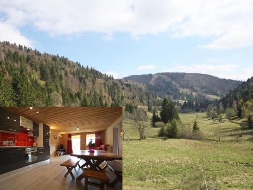 Фотография гостевого дома Gîte La Bresse, 3 pièces, 4 personnes - FR-1-589-264