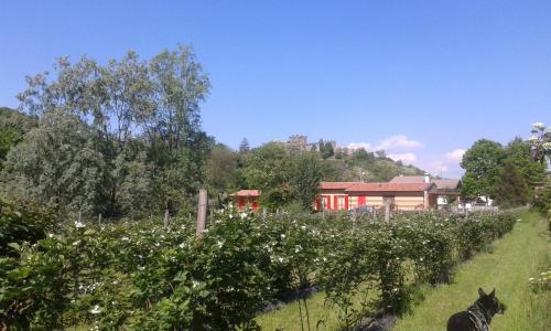 Фотография базы отдыха Agriturismo Terra e Lago d'Iseo Franciacorta
