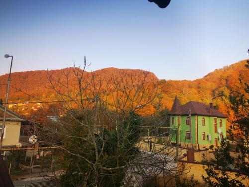 Фотографии гостевого дома 
            В Дагомысе‎