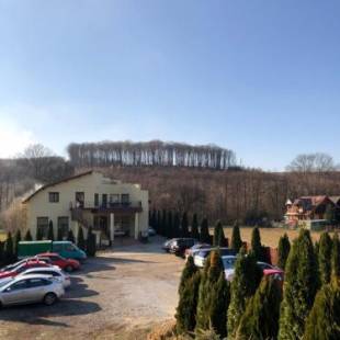 Фотографии гостевого дома 
            Pensiunea Cavaler