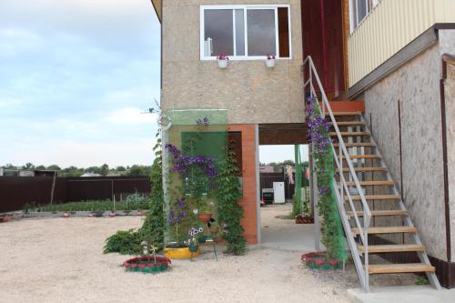 Фотографии гостевого дома
Светлана