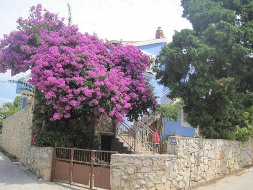 Фотография гостевого дома Apartments by the sea Maslinica, Solta - 14748