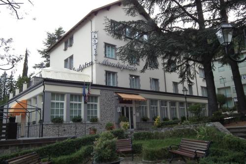 Фотография гостиницы Hotel Montepizzo