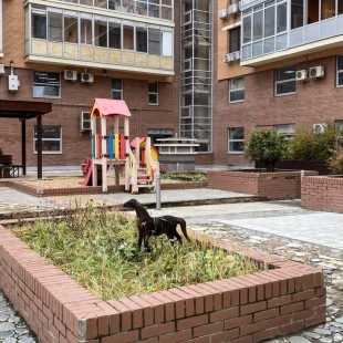 Фотография квартиры uTrip на улице Чистопольская 20/12