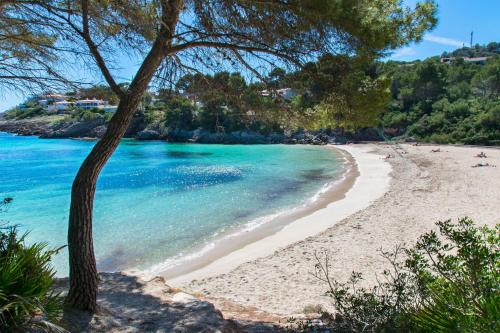 Фотографии гостевого дома
Casa GINEBRO