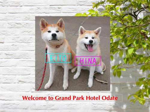 Фотография гостиницы Grand Park Hotel Odate