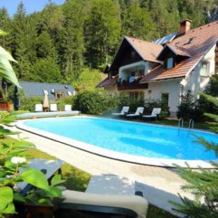 Фотографии гостевого дома 
            Vila Edelweiss Rooms&App Kranjska Gora