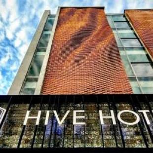Фотографии гостиницы
Hive Hotel