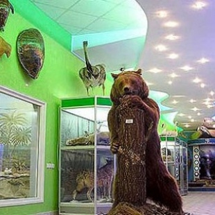 Фотография музея Музей природы Крыма