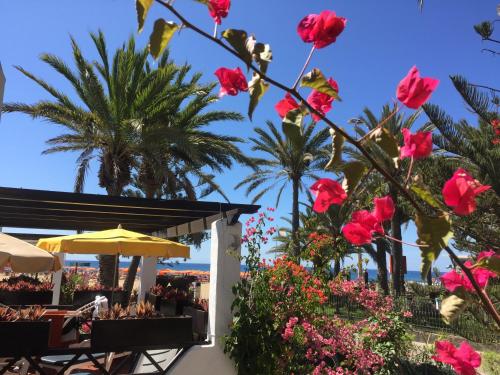 Фотография гостевого дома Casa Maspalomas