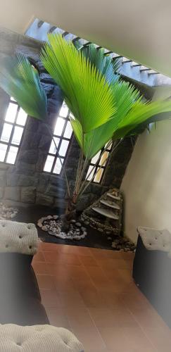 Фотография мини отеля Pousada Descanso de Casa