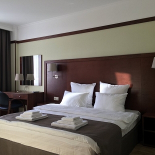 Фотография квартиры Апартаменты на Пушкаревском кольце Фисташка