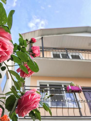 Фотография гостиницы София