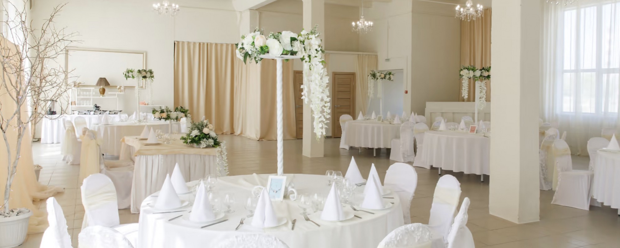 Фотографии банкетного зала Премьер Манеж