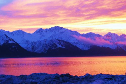 Фотография мини отеля Arctic Paradise B&B