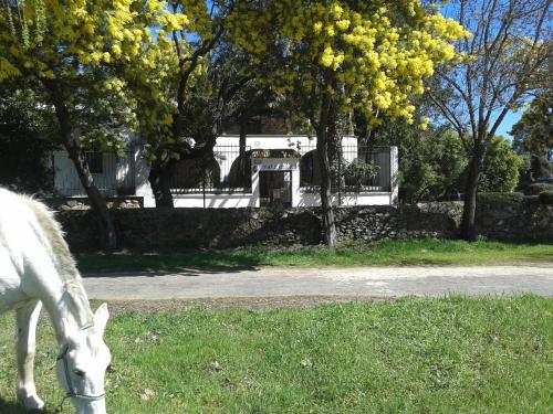 Фотография гостевого дома Casa Rural La Vallejera