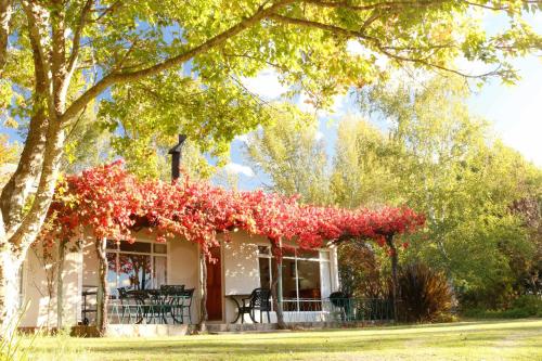 Фотография базы отдыха Lowestoffe Country Lodge - Trout