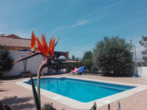 Фотография гостевого дома Casa el Olivo