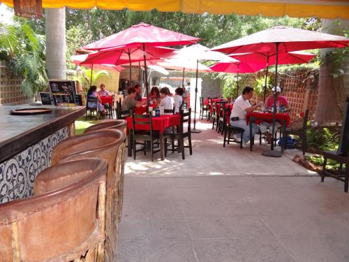 Фотография гостиницы Toca Madera