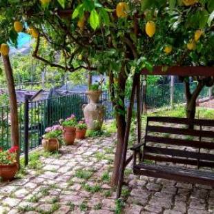 Фотографии гостевого дома
Il Limoneto degli Angeli