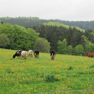 Фотографии гостевого дома
Haus-Dorfidyll