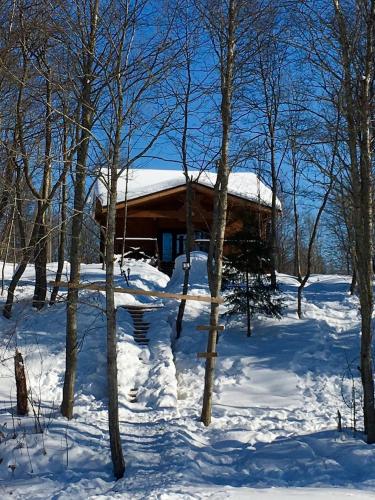 Фотография гостевого дома Дом