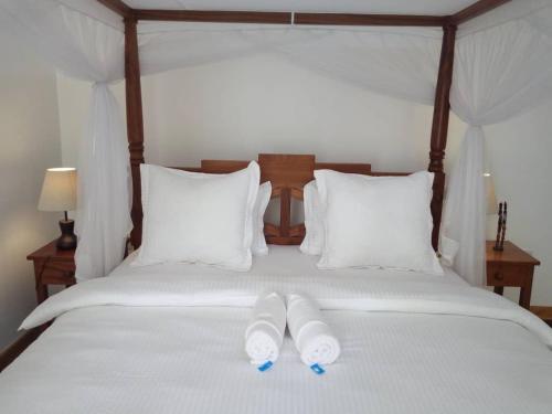 Фотография мини отеля Bird of Paradise Lodge