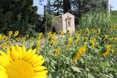 Фотография гостевого дома Mas de la Chapelle Sainte-Elisabeth