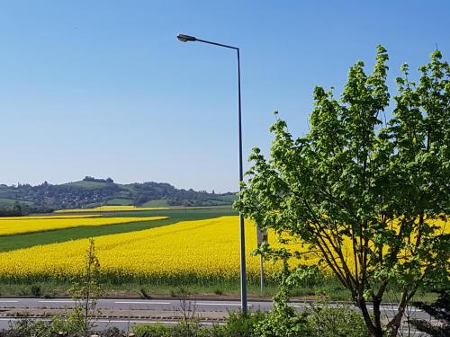 Фотографии гостиницы
Hotel Lyon Est