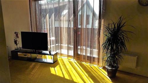 Фотография апарт отеля Guest House Bermuuda Apartments