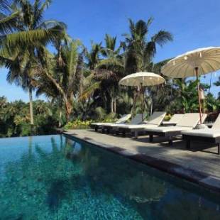 Фотографии гостиницы
Pertiwi Bisma 2