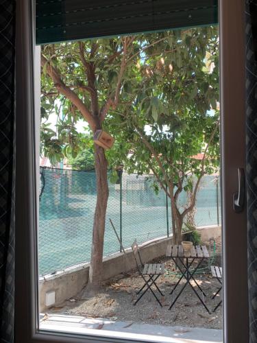 Фотография гостевого дома La casa di Alvy