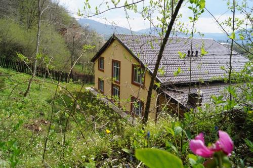 Фотография гостевого дома ДАХОВСКОЕ ПОМЕСТЬЕ