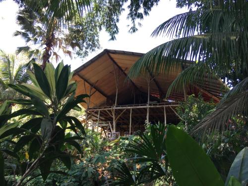 Фотография хостела Cascada Verde Hostel