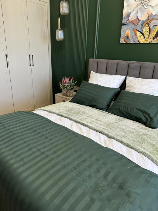 Фотографии квартиры 
            Апартаменты на улице Ленина 95а