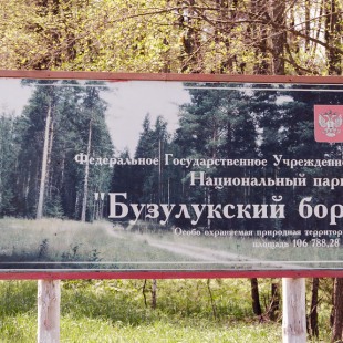 Фотография достопримечательности Национальный парк Бузулукский Бор