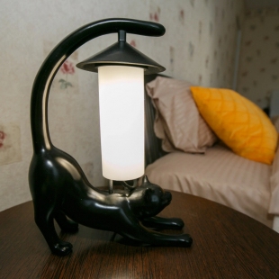 Фотография квартиры Квартира Выборгская симфония