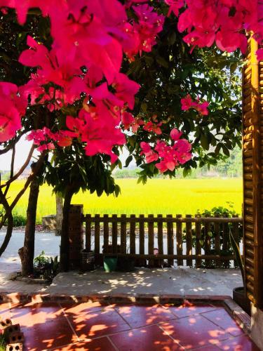 Фотография гостиницы Tam Coc Sunshine Homestay