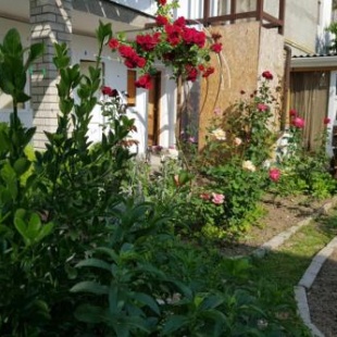 Фотография гостевого дома Ильвира