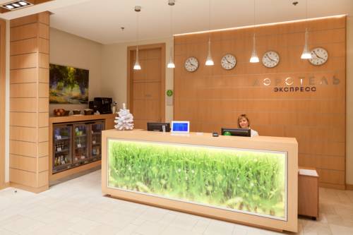 Фотографии гостиницы 
            Аэротель Экспресс