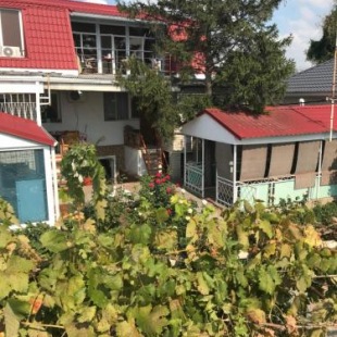 Фотография гостевого дома Здоровье