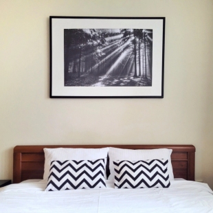 Фотография квартиры Апартаменты Уютная Студия с Видом на Лес