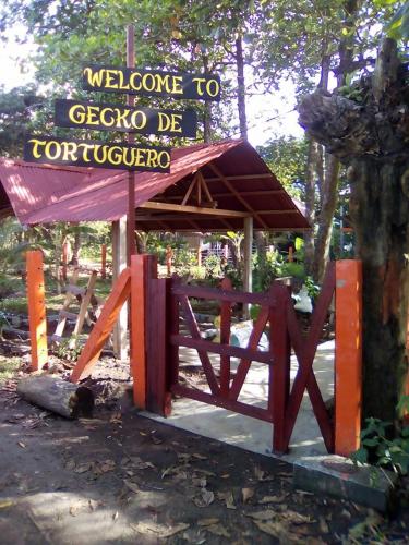 Фотография мини отеля Gecko de Tortuguero