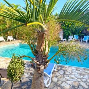 Фотографии гостевого дома 
            Bungalow Carpe Diem avec piscine et plage de Trou d'eau à Saline les bains pour 4 personnes